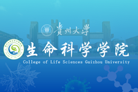 万象城网页版 Logo